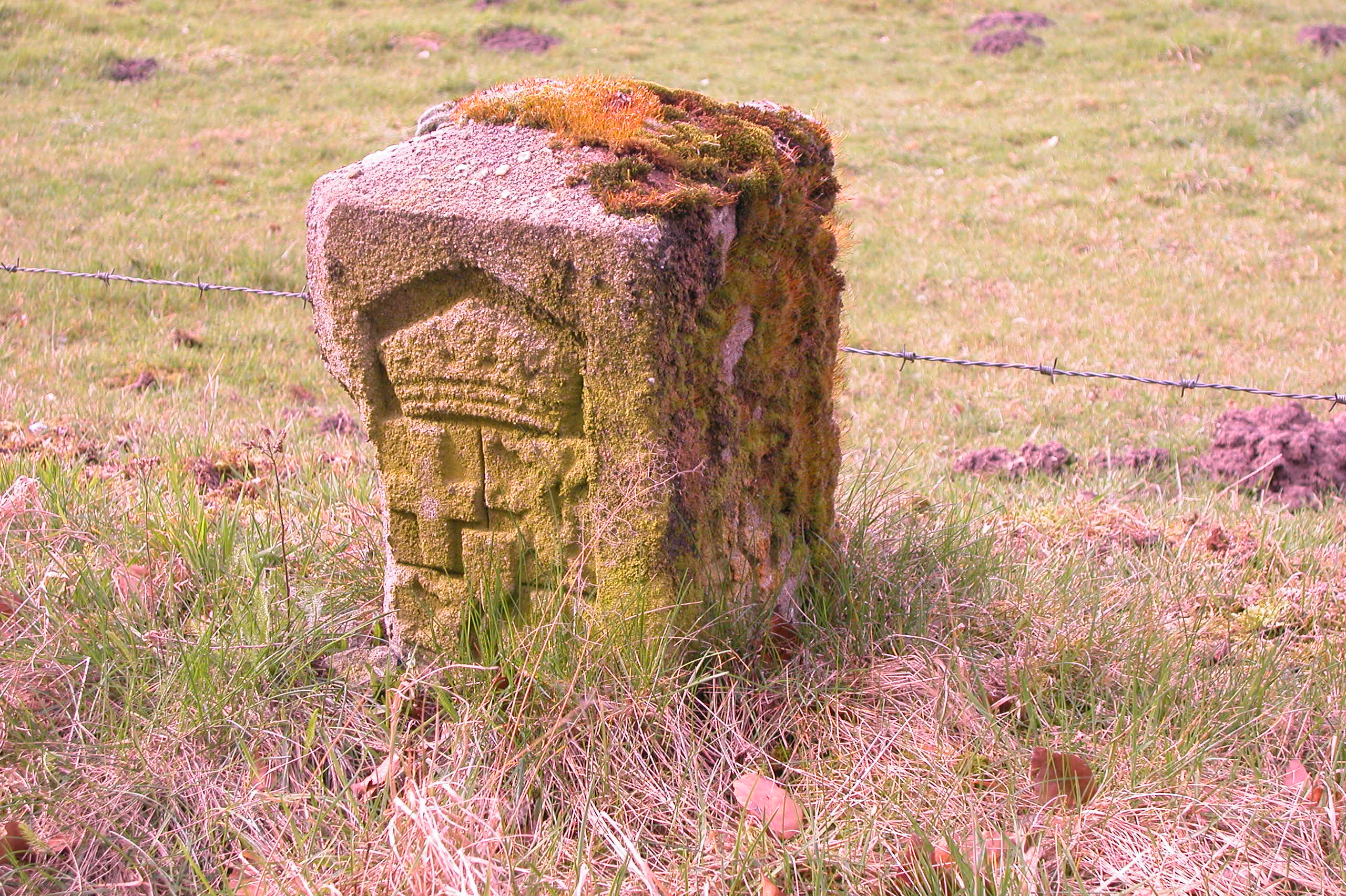 afbeelding "i_NL.IMRO.0307.BP00068-0201_0022.jpg"