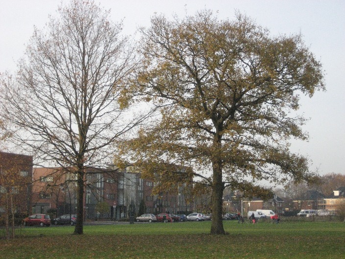 afbeelding "i_NL.IMRO.0307.BP00094-0201_0013.jpg"