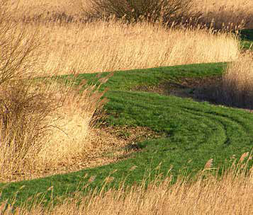 afbeelding "i_NL.IMRO.0307.BP00165-0201_0022.png"