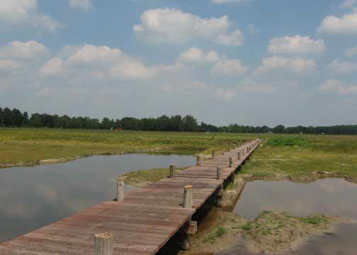 afbeelding "i_NL.IMRO.0307.BP00165-0201_0025.png"