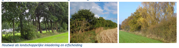 afbeelding "i_NL.IMRO.0307.BP00165-0201_0044.png"