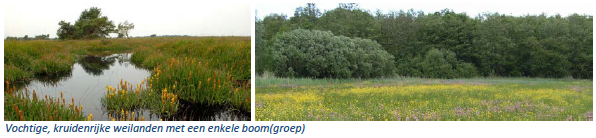 afbeelding "i_NL.IMRO.0307.BP00165-0201_0053.png"