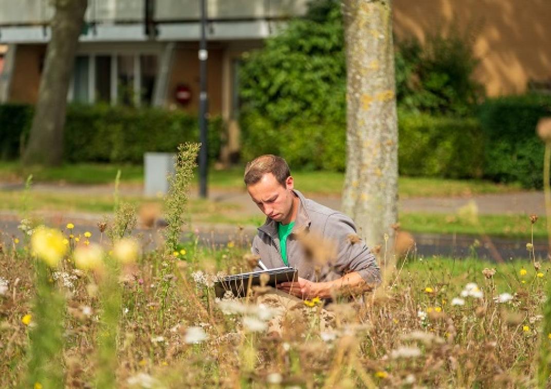 Man zittend tussen bloemen en kruiden