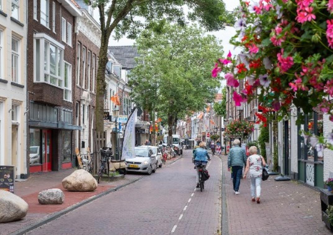 Beeld van De Kamp