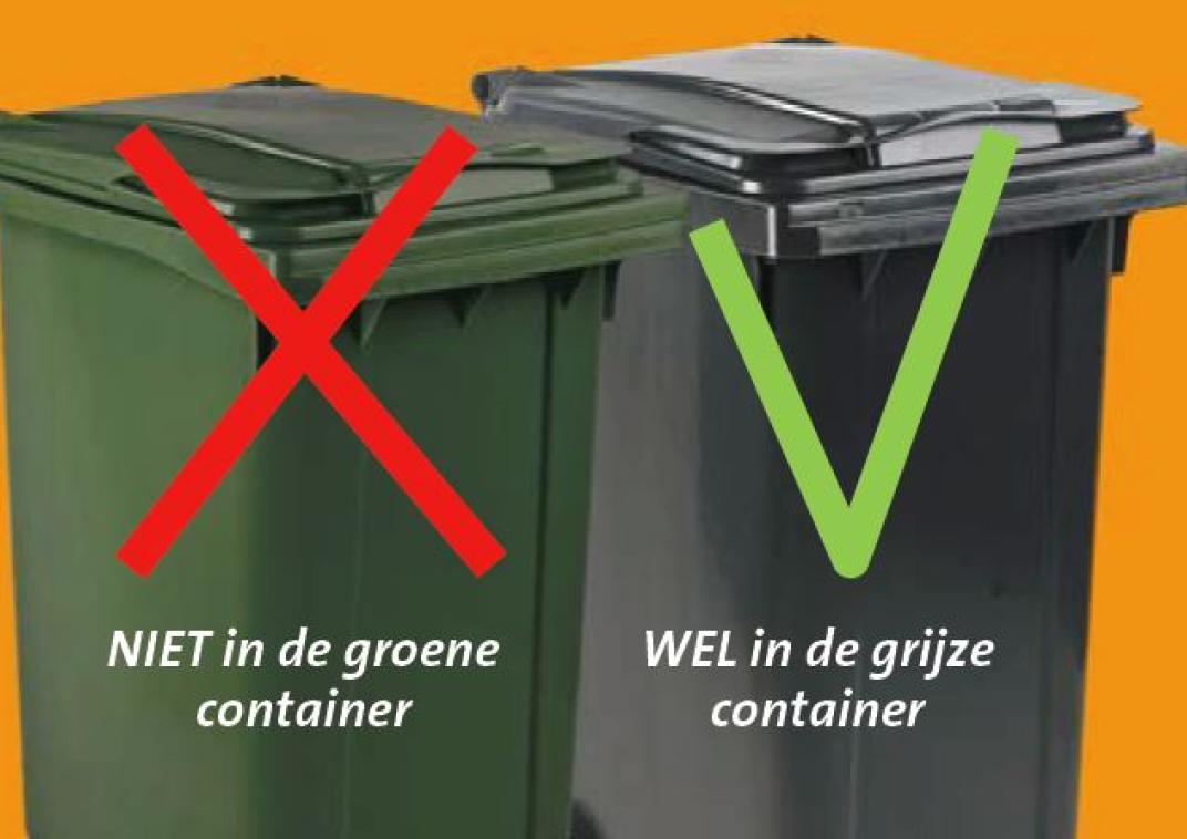 Japanse Duizendknoop niet in de groene container, wél in de grijze container