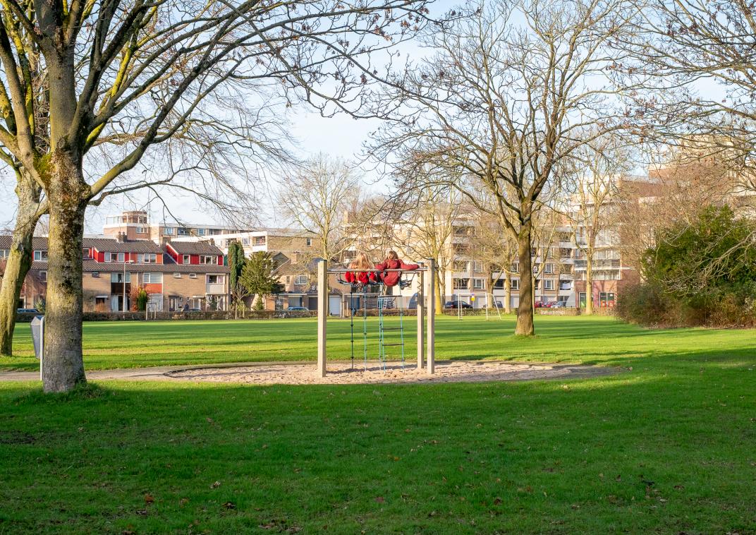 Speeltoestel in een grasveld