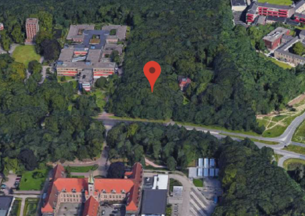 Decoratieve afbeelding