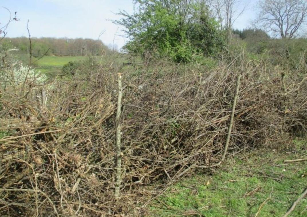 Landelijk weiland met houten rasterhek langs een modderig pad. Open agrarisch landschap met lange zichtlijnen en lage horizon.