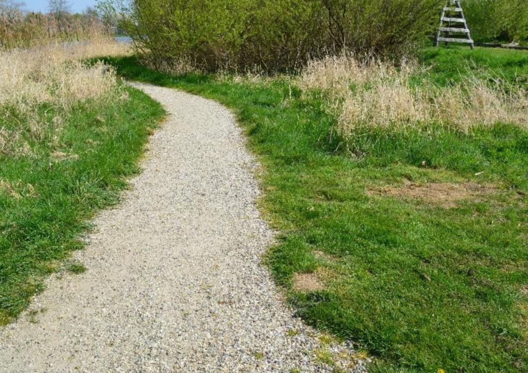 Halfverhard slingerend wandelpad door gras en ruigte. Recreatieve route in groen gebied.