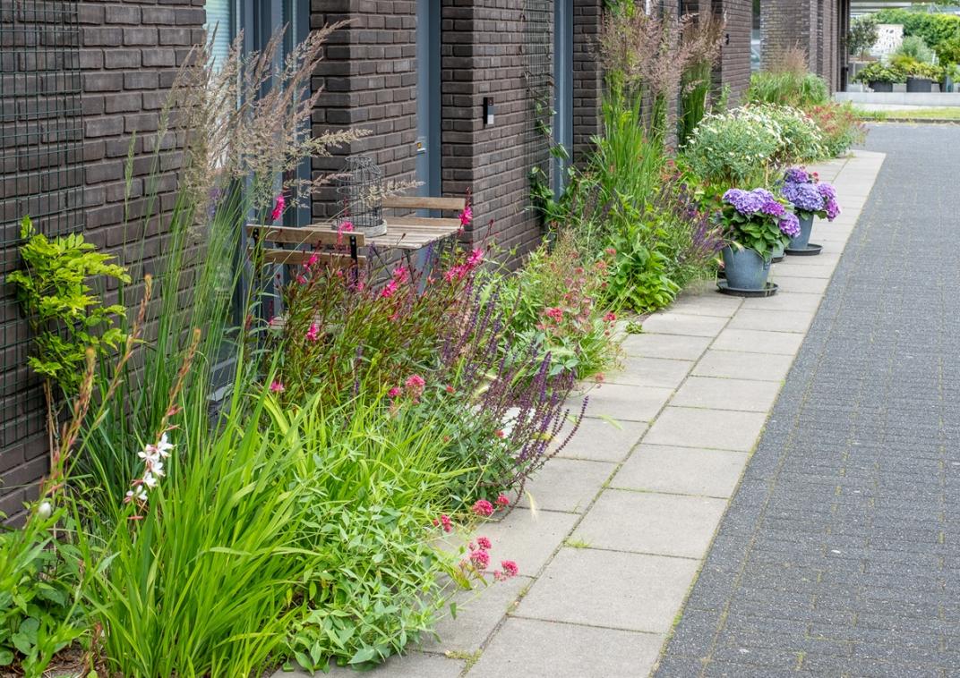Een gevel van een woonhuis met daarvoor bloemen en planten