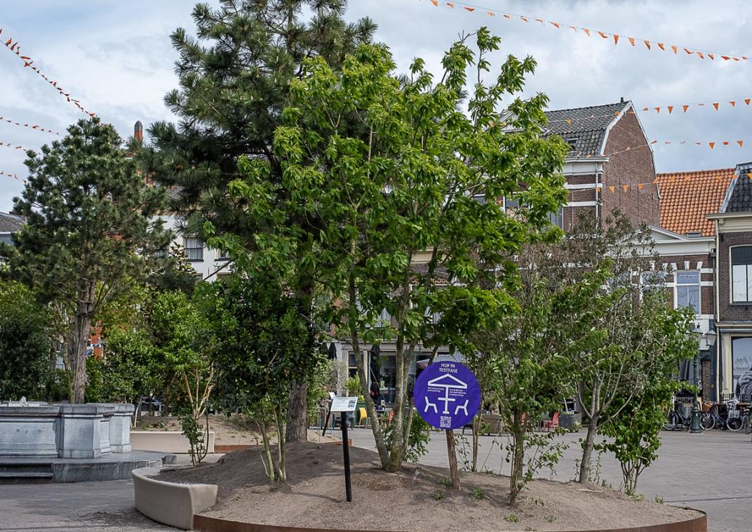 Verplaatsbare bloembakken op plein Hof als proef, met een bordje in de bloembak om een reactie te geven