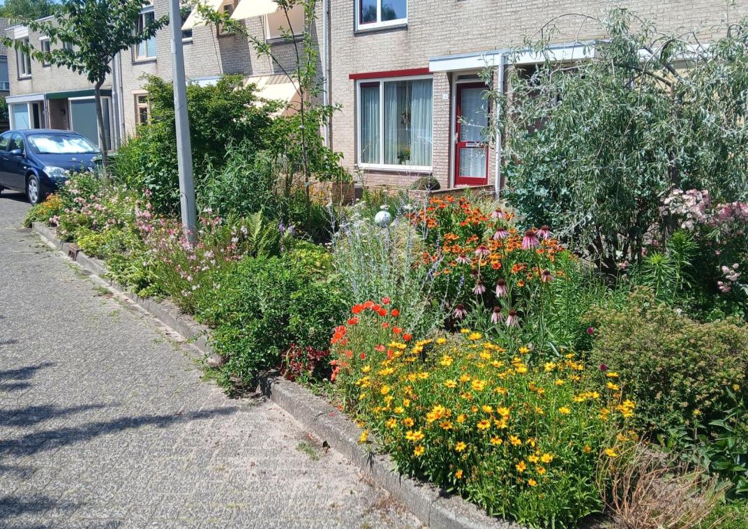 Een groenstrook met bloemen in zelfbeheer van inwoners