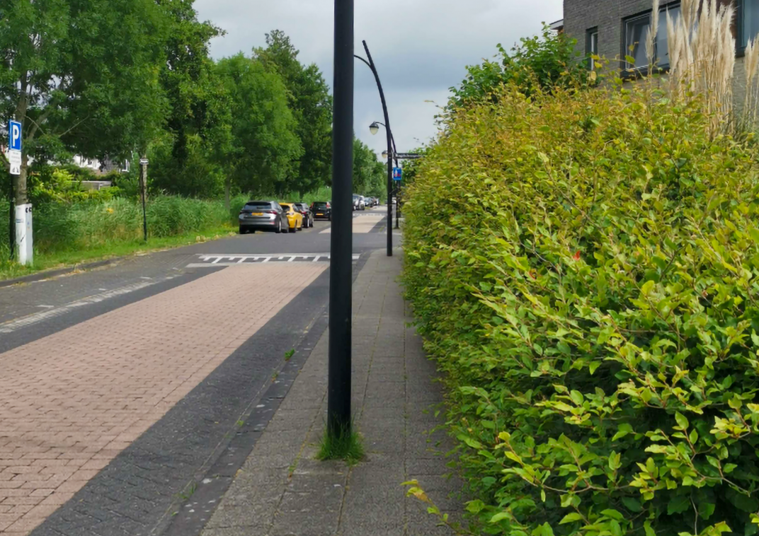 Boom, haag of struik die vanaf privéterrein de openbare ruimte belemmert.