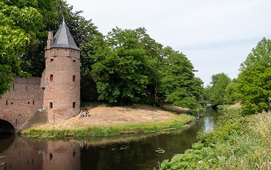Het Zocherplantsoen met uitgedroogd gras