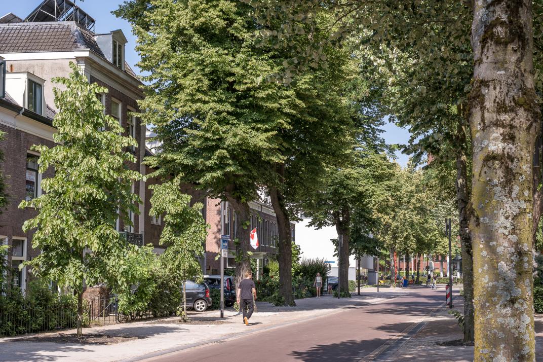 Voetgangers- en fietsstraat Snouckaertlaan