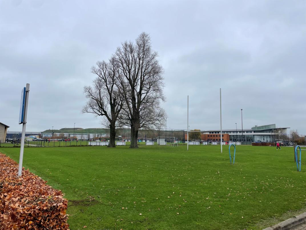 Bomen bij sportpark Olympus waar we gaan uitbreiden