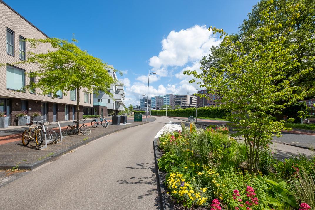 Groene Spoor Mondriaanlaan