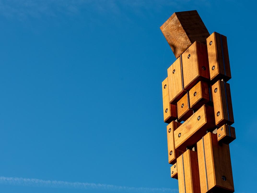 Een van de mens-achtige houten figuren