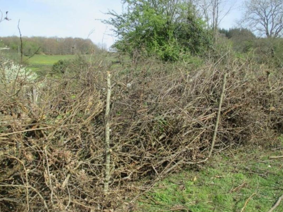 Landelijk weiland met houten rasterhek langs een modderig pad. Open agrarisch landschap met lange zichtlijnen en lage horizon.