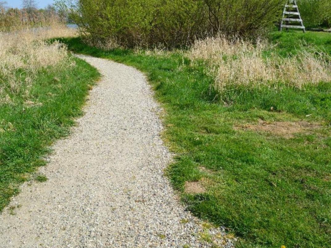 Halfverhard slingerend wandelpad door gras en ruigte. Recreatieve route in groen gebied.