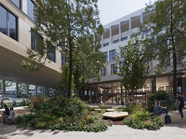 Er is een groenbak met bomen en planten en daaromheen staan verhogingen waar mensen op kunnen zitten. In de groenbak liggen ook grote stenen vlakken. Om de groenbak heen staat een wit gebouw met veel ramen.